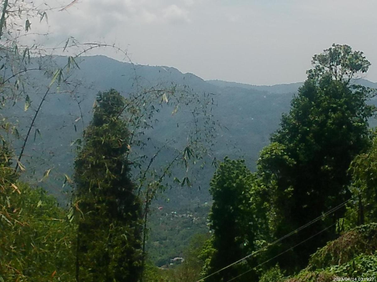 Mountain View Homestay 칼림퐁 외부 사진
